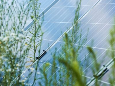 Panneaux-photovoltaïques